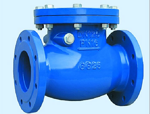 Check Valve