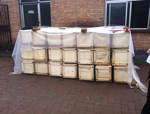 Fire Hydrant With Flange