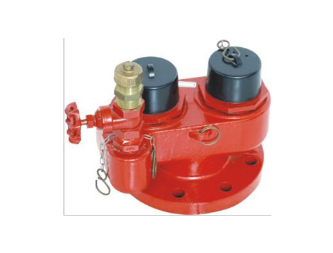 Breeching Inlet Fire Hydrant Valve