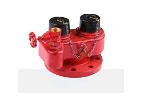 Breeching Inlet Fire Hydrant Valve
