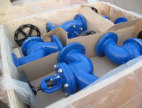 Globe Valve