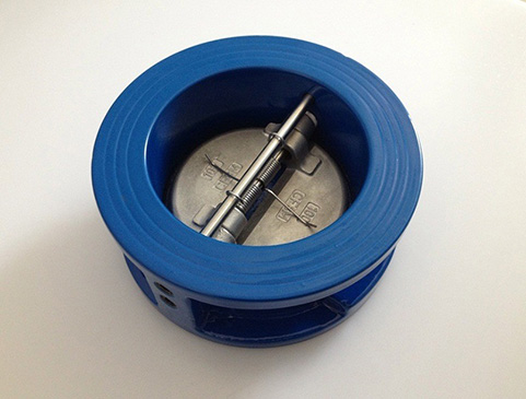 Dual Plate Check Valve