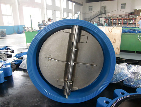 Dual Plate Check Valve